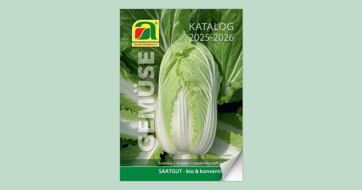 Gemse Katalog 2025-2026