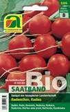 BIO Radies Wiener Rotes Treib Austroselect Saatband