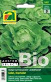 BIO Kopfsalat Kagraner Sommer Austroselect