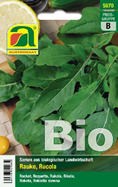 BIO Salat Rauke Eruca sativa