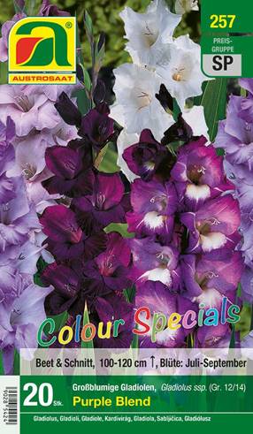 257_2022_Gladiolus Purple Blend Clolour Specials_12-14_20 Stk.