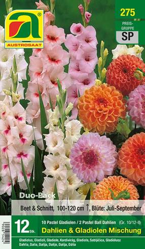 275_2022_Dahlia + Gladiolus Mischung_10-12_II_12 Stk.