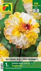 434_2022_Dahlia Double Jill_Gr. I_1 Stk.