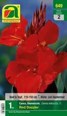 649_2022_Canna Red Dazzler_Gr. I_1 Stk.