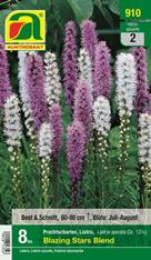 910_2022_Liatris Blazing Stars Blend_12+_8 Stk.