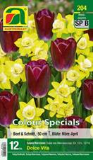 204_2022_Tulipa_Perennial_Blend_Colour_specials_11-12_15 Stk.