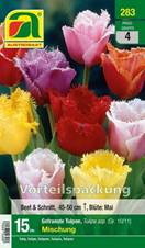 283_2022_Tulipa_Mischung_Vorteilspackung_10-11_15 Stk.