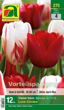 275_2022_Tulipa_Love_Circles_Vorteilspackung_11-12_12 Stk.