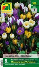 389_2022_Crocus_Bot.Mischung_5+_8 Stk.