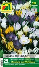 287_2022_Crocus_Bot.Mischung_Vorteilpackung_5+_25 Stk.