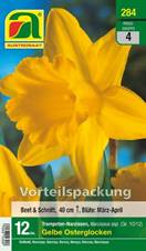 284_2022_Narcissus_Gelbe_Osterglocken_Vorteilspackung_10-12_12 Stk.