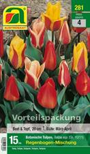281_2022_Tulipa_Regenbogen_Mischung_10-11_15 Stk.