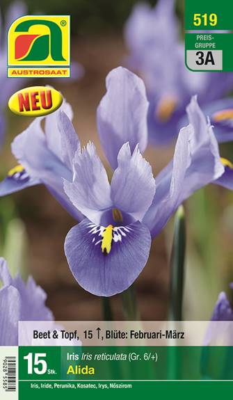 519_2024_Iris_Alida_6+_15 Stk.