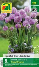 207_2022_Allium_Rosy_Dreams_6+_8 Stk.