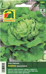 Kopfsalat "Analena":   Resistent gegen die "Grüne Salatlaus" (Nasonovia ribisnigri).