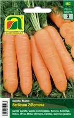 Karotten, Möhren "Berlicum 2 (Romosa)":   Eine sehr ertragreiche Sorte, ideal für die Einlagerung.