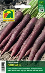 Karotten, Möhren "Purple Sun F1":   Intensiv gefärbte Sorte für farbenfrohe Rohkostsalate oder violette Suppen.