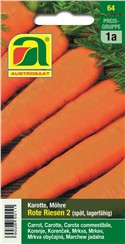 Karotten, Möhren "Rote Riesen 2":   Lange, spitz zulaufende Lagersorte.