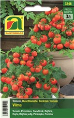 Tomate "Vilma":   Eine kompakte Cocktailtomate mit 15-20g schweren, aromatischen Früchten. Dur