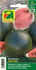 Wassermelone "Sugar Baby":   Bildet 1,5-2,5 kg schwere Früchte mit hellrotem Fleisch.