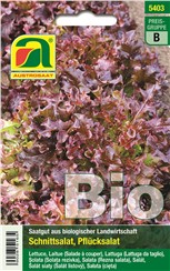 Schnittsalat BIO "Red Salad Bowl":   Ein schnellwüchsiger Schnitt- oder Pflücksalat mit eichblattförmigen, zarten