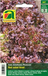 Schnittsalat "Red Salad Bowl":   Ein schnellwüchsiger Schnitt- oder Pflücksalat mit eichblattförmigen, zarten