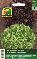 Schnittsalat "Vizir & Lunix" Duopack:   Beide Sorten sind gegen die "Grüne Salatlaus" (Nasonovia ribisnigri) resiste