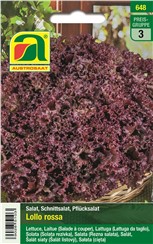 Schnittsalat "Lollo Rossa":   Eine bekannte italienische Sorte mit rotem, feingekräuseltem Blatt. Er kann 