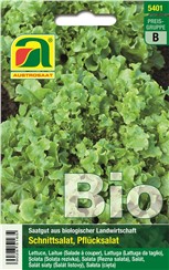 Schnittsalat BIO "Salad Bowl":   Ein schnellwüchsiger Schnitt- oder Pflücksalat mit eichblattförmigen, hellgr