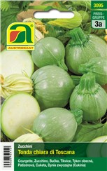 Zucchini "Tonda chiara di Toscana":   Runde, mittelgrüne Zucchinirarität mit kurzen Ranken. Ideal zum Füllen!