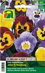 Stiefmütterchen, Viola "Joker F2 Mischung":   Eine farbenfrohe Mischung mit dekorativen, mehrfarbigen Blüten.