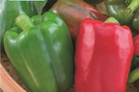 Paprika