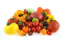 Tomaten