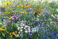 Die Landschaftlichen