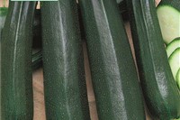 Zucchini