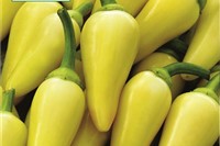 Pfefferoni - Chili
