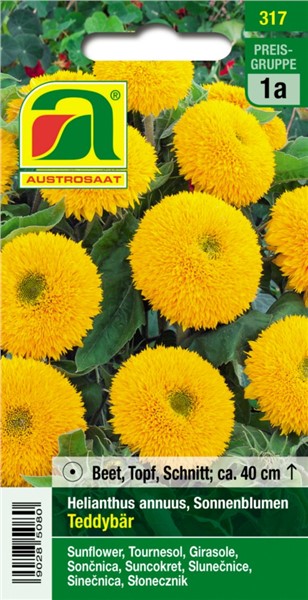 Gefüllte Sonnenblume *TEDDYBÄR* 20 Samen *Sunflower seeds *Sonnenblumensamen 