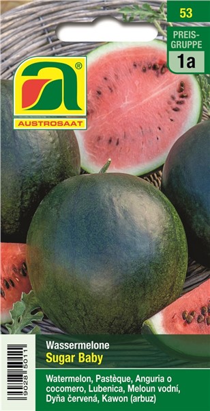 Wassermelone SUGAR BABY 10 Samen Citrullus Lanatus Wasser Melone 