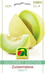 Zuckermelone "Galia F1":   Runde Zuckermelone mit fein genetzter Schale und weiß-grünem, sehr süßem Fru