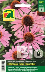 Echinacea BIO "Roter Sonnenhut":   Ein dekorativ sommerblühendes Kraut, das in keinem Kräutergarten fehlen darf