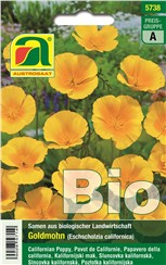Goldmohn BIO:   Einjährige, auch Schalfmützchen genannte Sommerblume für vollsonnige Standor