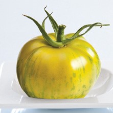 Tomate "Tiverta F1":   Dekorative, gelbe Tomate mit grünen Streifen. Durchschnittliches Fruchtgewic