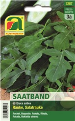 Rauke "Salatrauke" - Saatband:   Eine einjährige, schnellwachsende Rauke (Rucola) mit großen Blättern und int