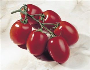 BIO Tomate "Myriade F1"; Einheit: 10 Korn:   Olivade-Typ mit 100-115 g schweren Früchten. Optimale Salattomate!
