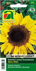 Sonnenblumen "Henry Wilde":   Eine Solitärsommerblume mit einer beeindruckenden Höhe von über 2 m. Die gro