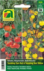 Tomate "Tumbling Tom Red & Yellow":   Zwei Hängetomatensorten in einer Packung (getrennt verpackt.) Pflanzenlänge 