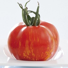 Tomate "Tirouge F1":   Dekorative, rote Tomate mit orangen Streifen. Durchschnittliches Fruchtgewic