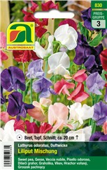 Duftwicke "Liliput Mischung":   Reichblühend, wegen der großen Blüten auch gut für Schnitt geeignet.
