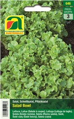 Schnittsalat "Salad Bowl":   Ein schnellwüchsiger Schnitt- oder Pflücksalat mit eichblattförmigen, zarten