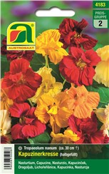 Kapuzinerkresse "Niedrige Mischung":   Blüten und Blätter sind essbar, mit einer leichten, milden, senfartigen Note